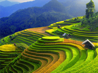 Sapa Tour by bus for 2days - 1night (recommended)